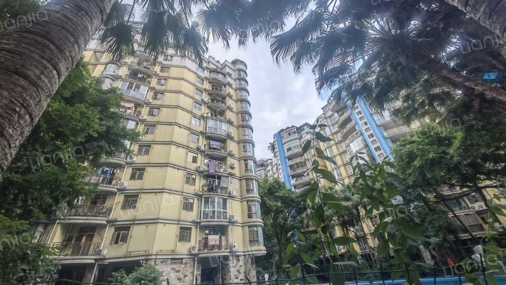 博雅庭韵外景图