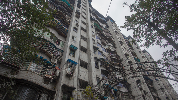 松树桥大厦小区外景图