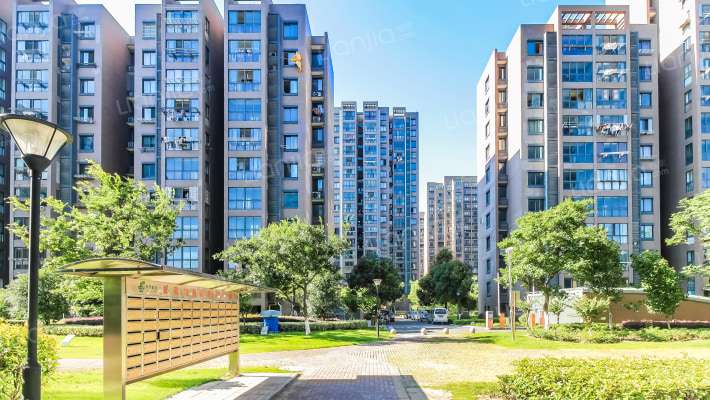 金邑华庭外景图