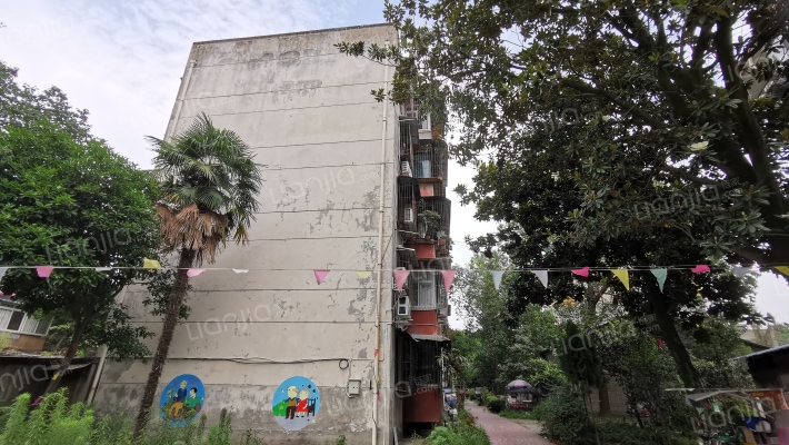 柳春路4号外景图