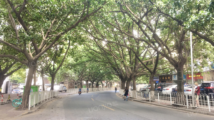 金钟横路外景图