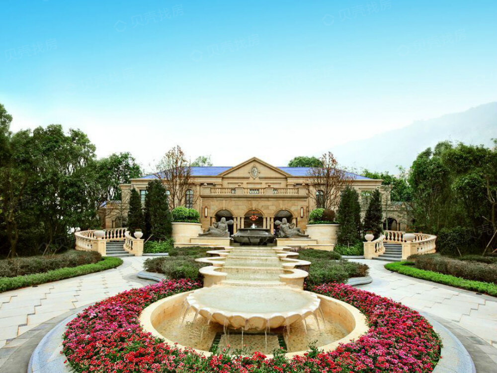 实地常春藤相册