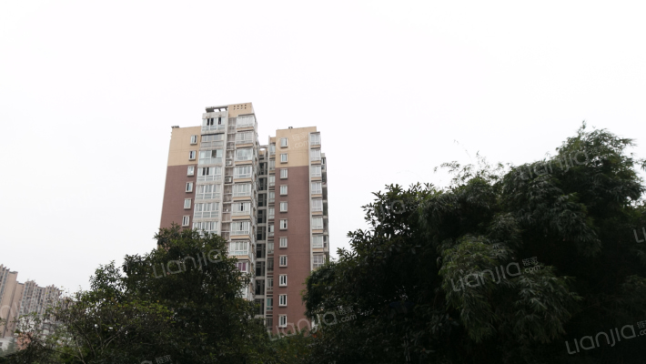 蓝色星空金牛座外景图