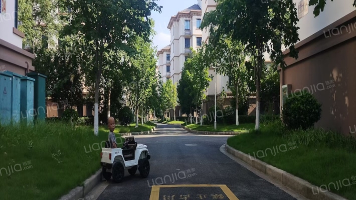 江岛花苑外景图