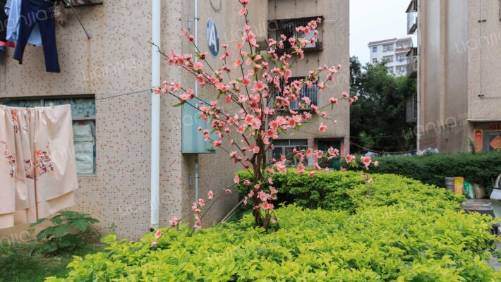 草埔新村外景图