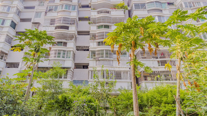 西园新苑二期外景图