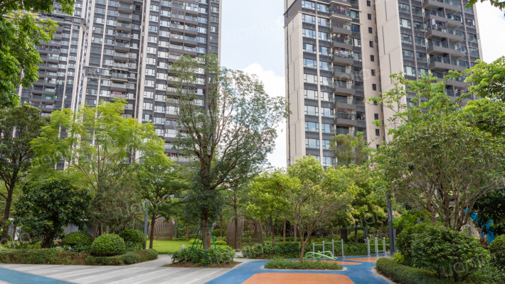 中洲河谷花园外景图