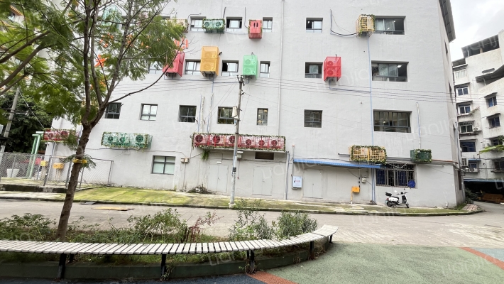 东路二小区外景图