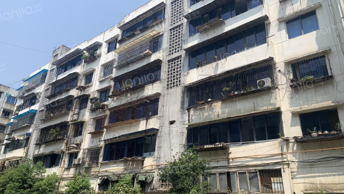 安仁东街38号外景图