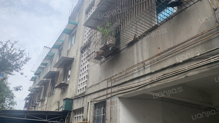 团结街115号外景图