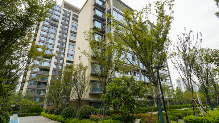 璀璨湖畔清园外景图