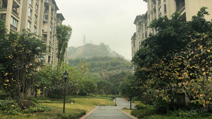 隆鑫爱琴海三期外景图