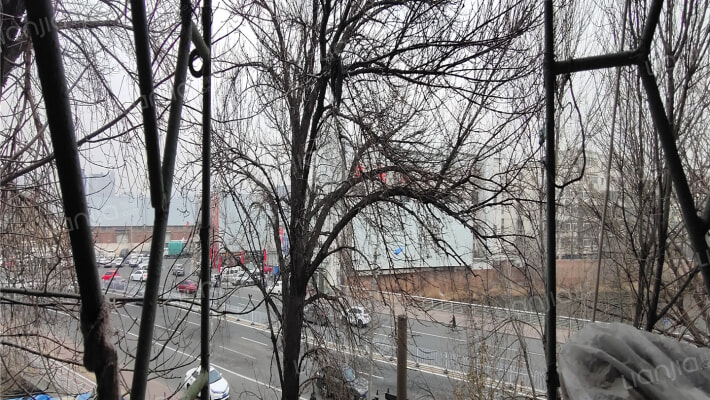 北柴场大街50外景图