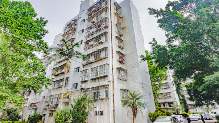 南村新苑外景图