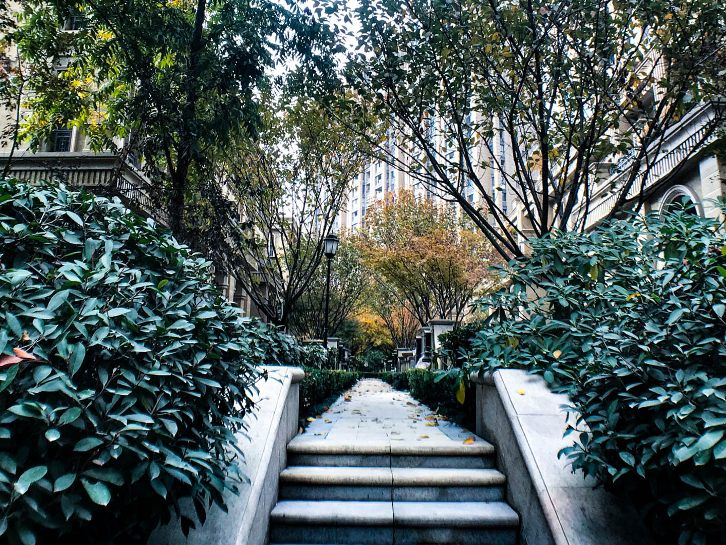 吉祥半岛小区实景 12