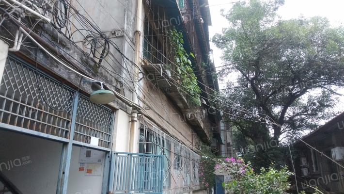 西体路8号外景图