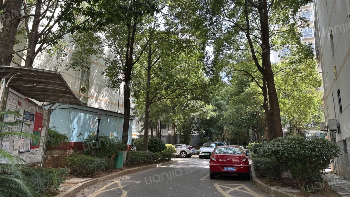 金岸教师村外景图