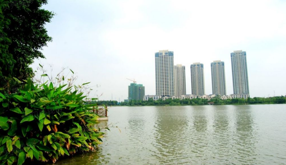 金茂绿岛湖相册