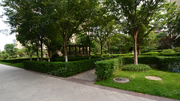 中金海棠湾(三期)外景图