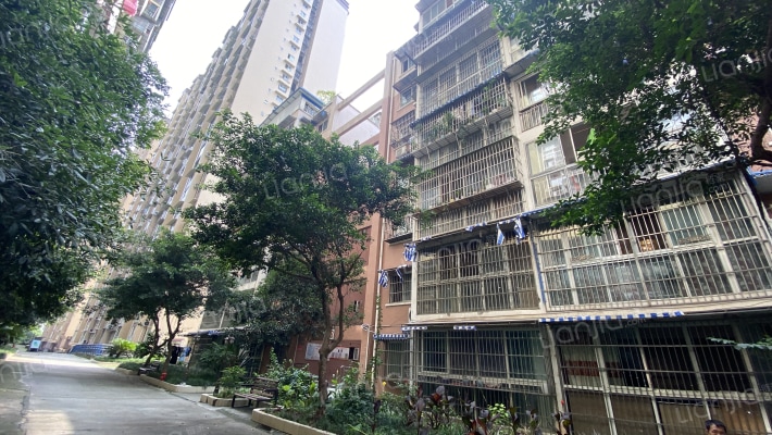 夜月雅居外景图