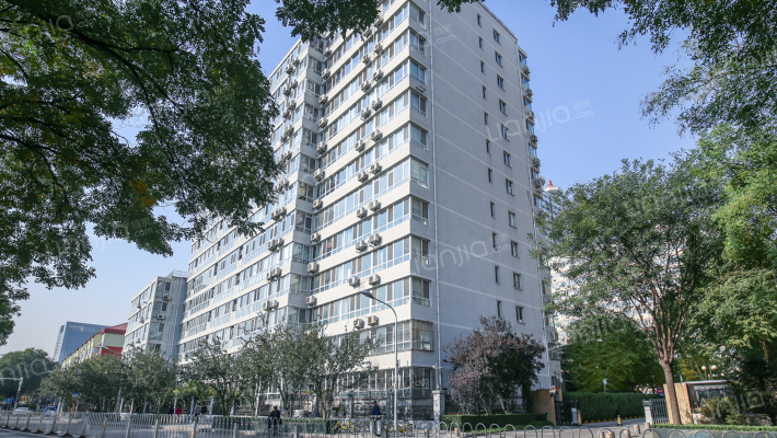 槐柏树街外景图