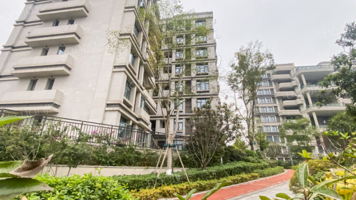 龙兴国际生态新城天誉外景图