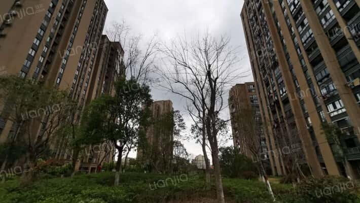 之江家园四区外景图