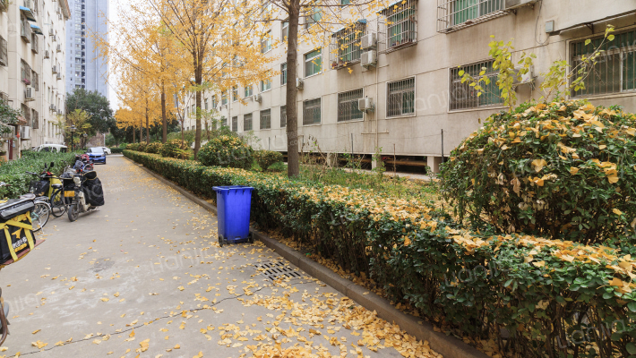 农业路东38号院外景图