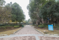 常青花园五小区户型图实景图