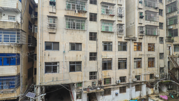 进贤东大道外景图