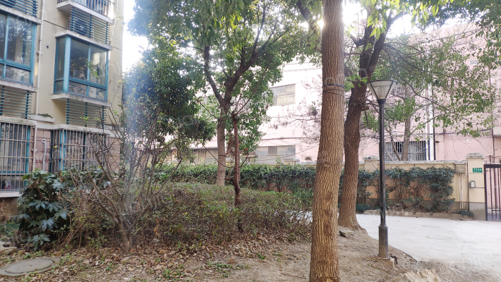 南北大街小区外景图