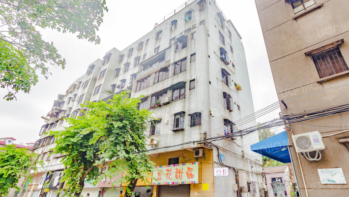 渡江路233号外景图