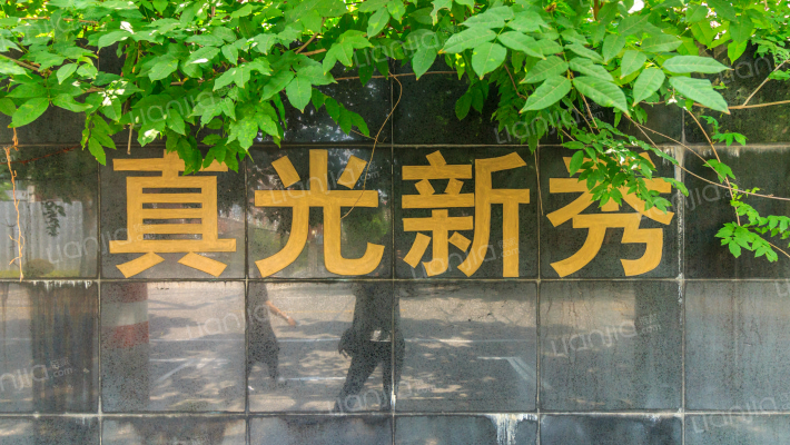 真光新秀外景图