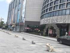 悦江商业中心实景图