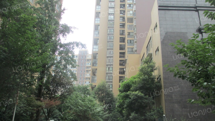 河滨鹭岛外景图