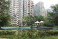 新街坊戶型圖實景圖