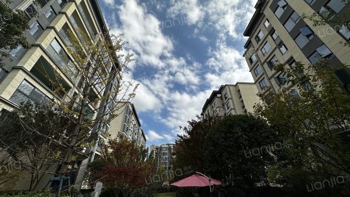 龙湖景粼天著林语溪外景图