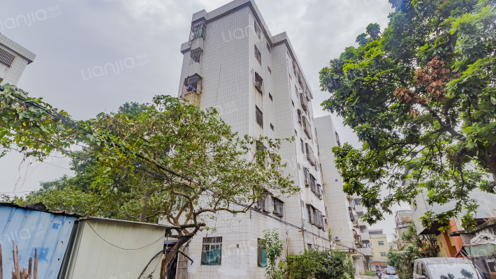 中横花园外景图