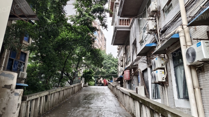 新桥正街139号外景图