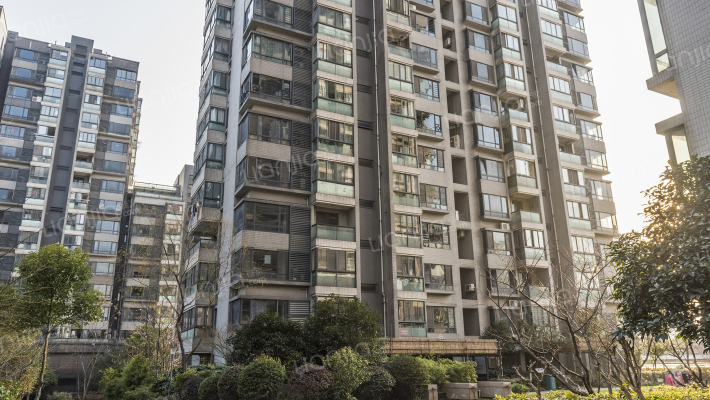 兰庭国际外景图