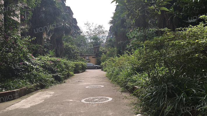 玉洁巷8号外景图