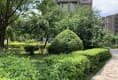 鑫丰华凯鑫城户型图实景图
