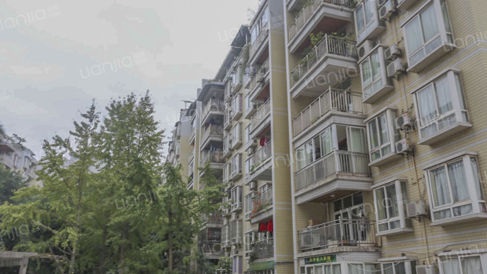 黄桷逸景外景图