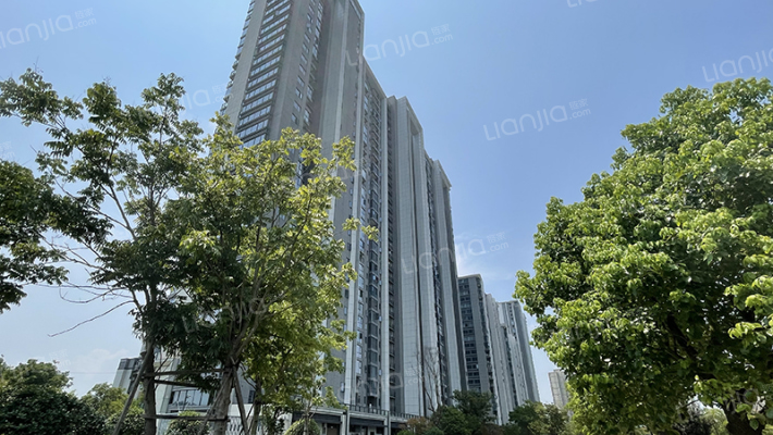 禹洲泊朗廷外景图