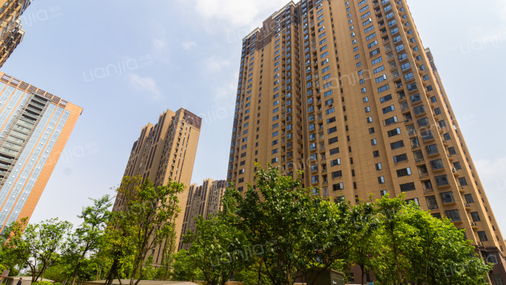 岳华新苑外景图