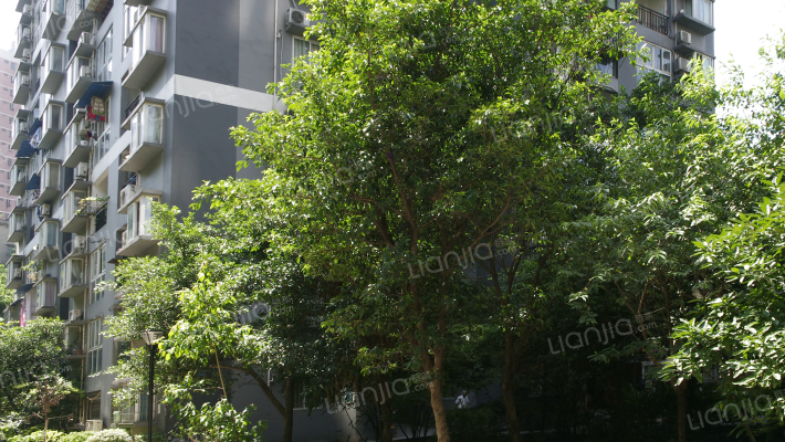 大鼎城市花园外景图