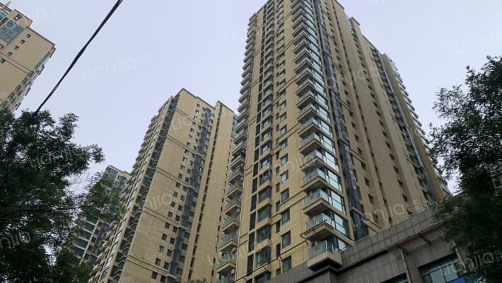 金智大厦外景图