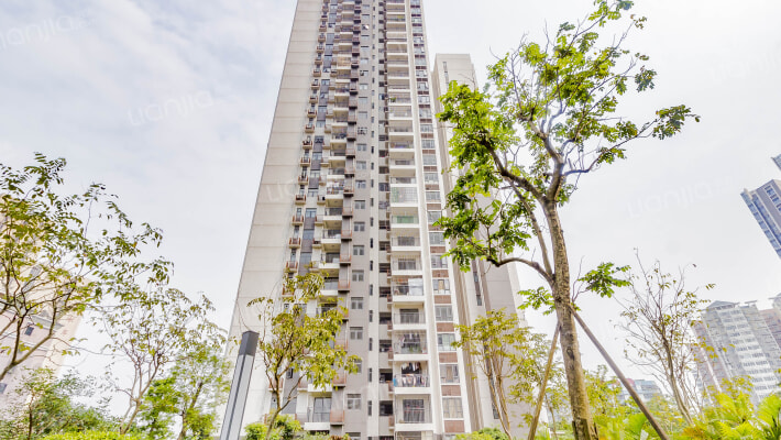 富力新居外景图