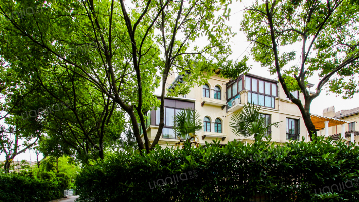 星辰园(别墅)外景图