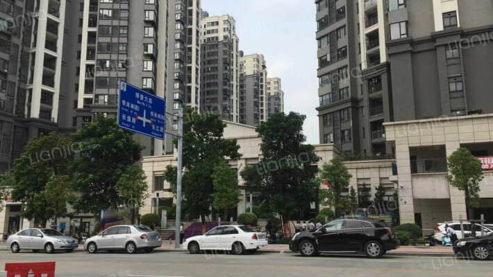 远洋城天祺花园外景图